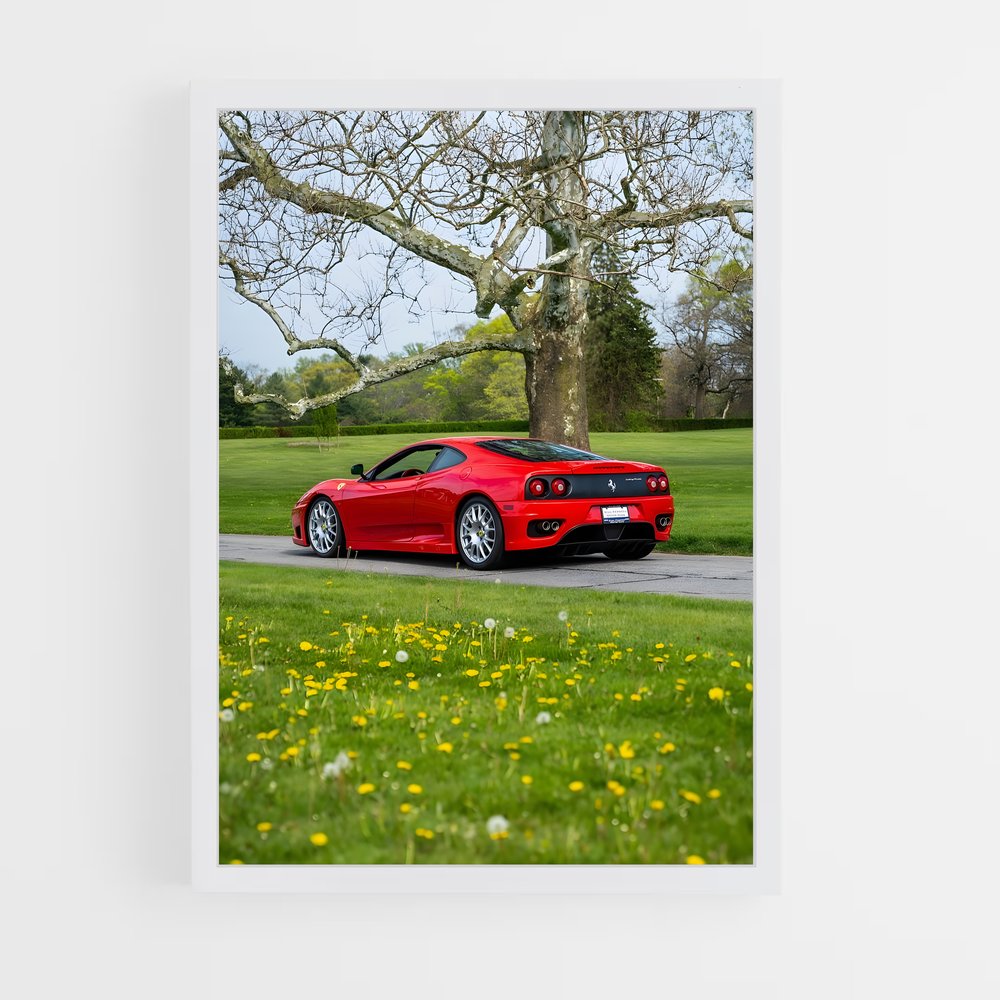 Poster Ferrari au Parc (vue 3)